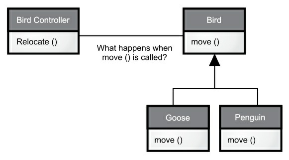 Bird-example